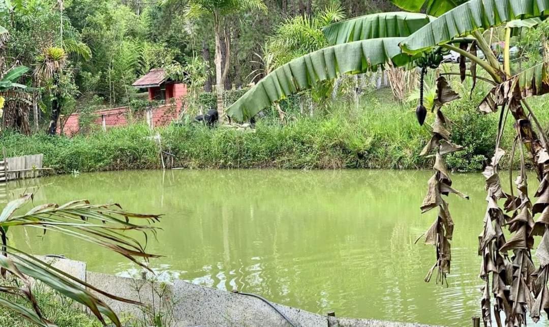 Chacara Recanto Dos Passaros Bairro das Rosas 外观 照片